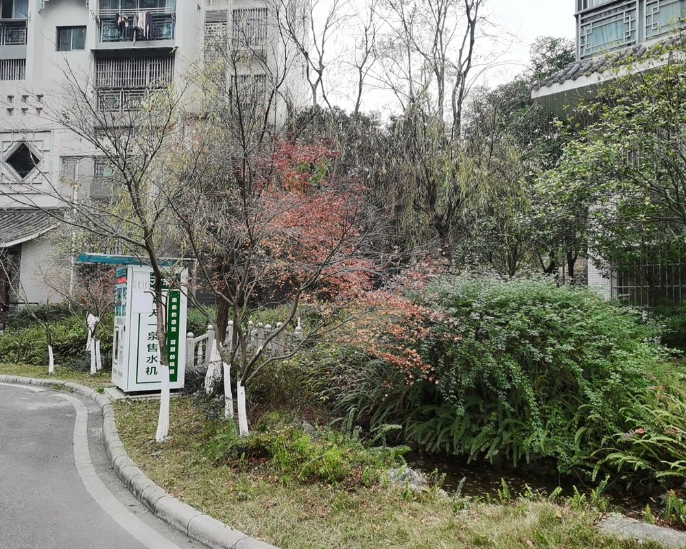 【中华坊, 中华坊小区详情,房价走势,房源,业主论坛】- 绵阳58同城