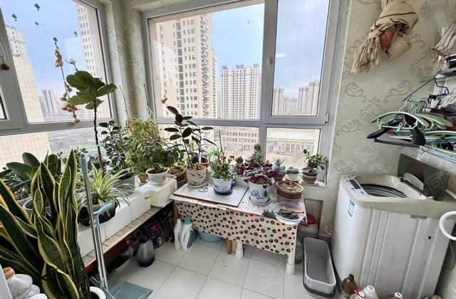 昌润莲城旁，精装3室，免大税，小高层，边户，观景房，好楼层