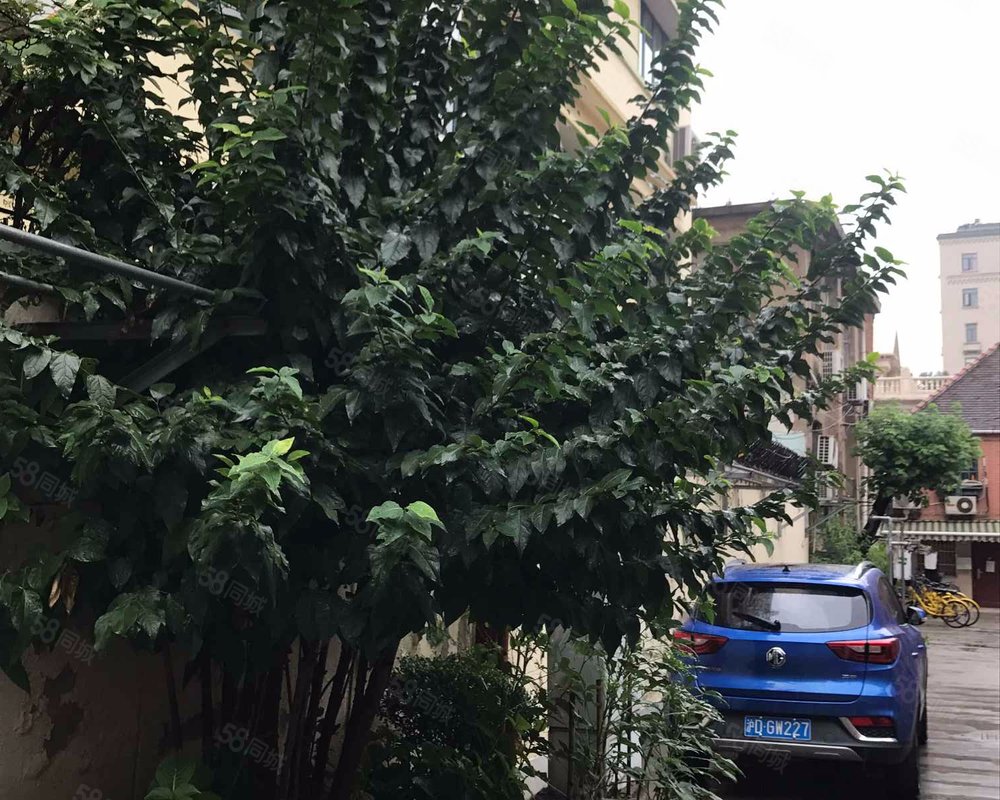 【愚园路865弄小区, 愚园路865弄小区小区详情,房价走势,房源,业主