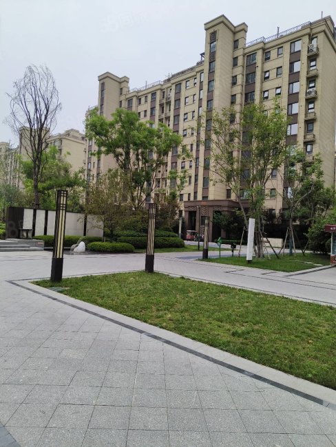 记过2 低于市场价,中南鲁商樾府-临沂58同城