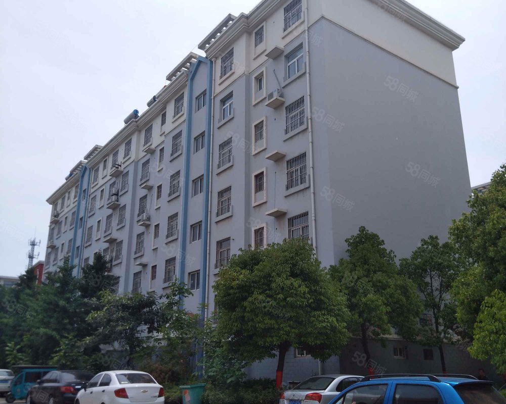 【国泰花园, 国泰花园小区详情,房价走势,房源,业主论坛】- 枣庄58