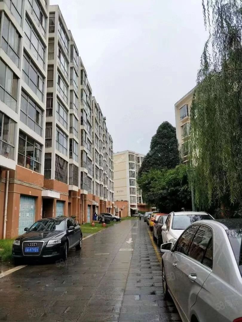 3房 丽阳星城124.1平好楼层海源寺南北精装108万