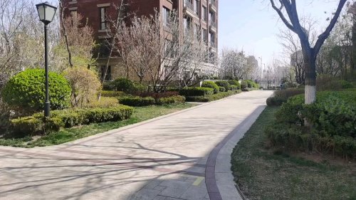 天津全运村木樨园