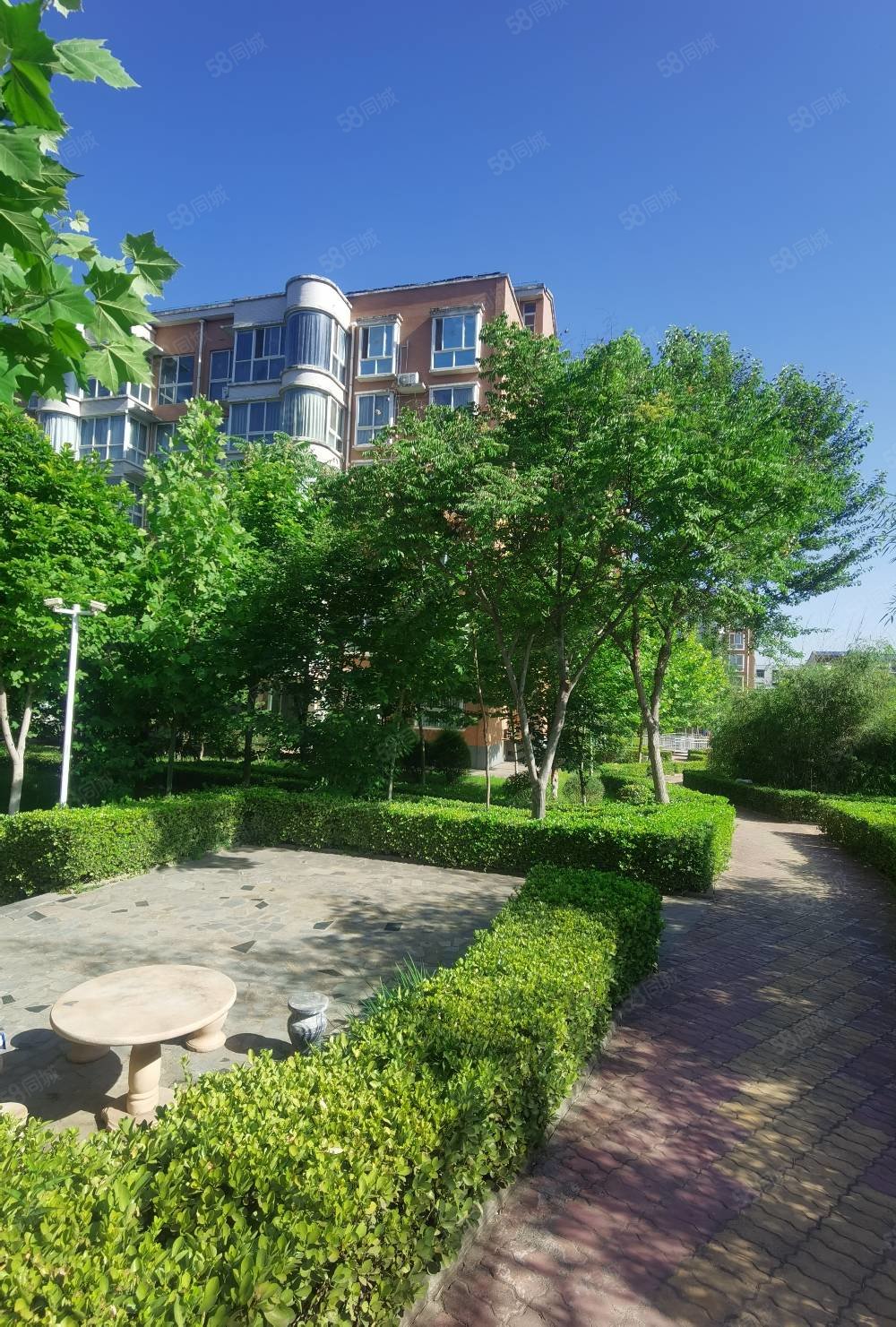 3室2厅满二精装修南北通透仁和苑房东急置换诚意买