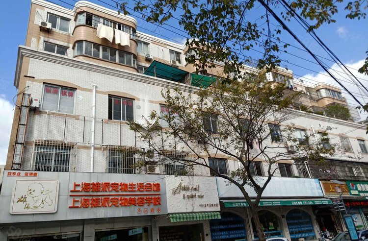 卫星东路11弄小区