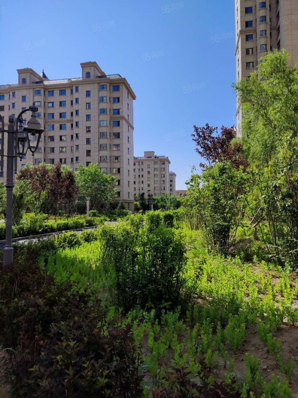 书香府第1室1厅1卫61.1㎡南36万