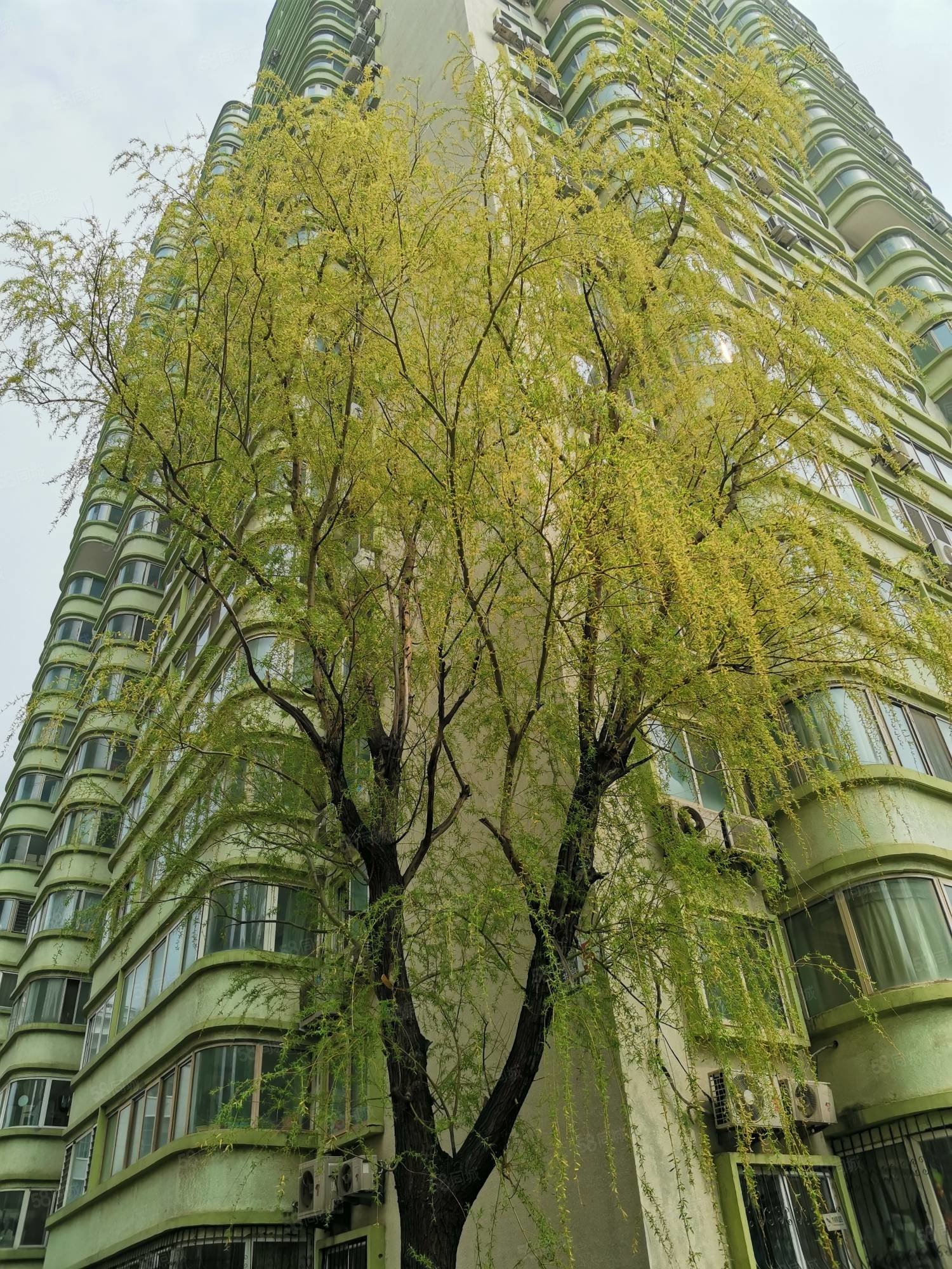 满庭芳园南向2居室物业租售中心买房收1个点免千元物业费