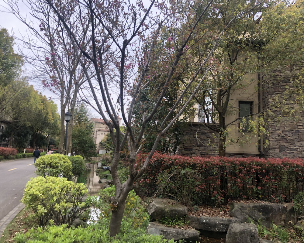 【雅戈尔香颂湾 雅戈尔香颂湾小区详情,房价走势,房源,业主论坛】