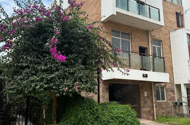 莲池映月(别墅)6室4厅350㎡137万二手房图片