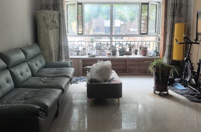 光明  ！七中中学！看房有钥匙！