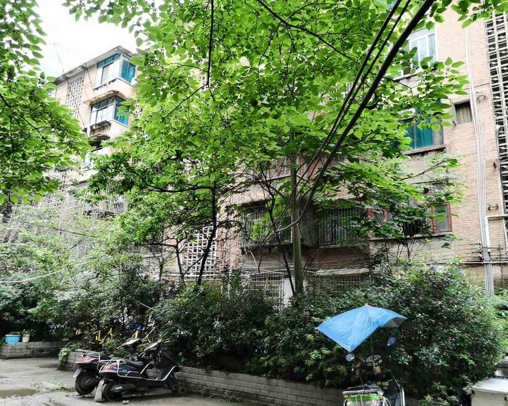 花溪大道北段12号院二环以内