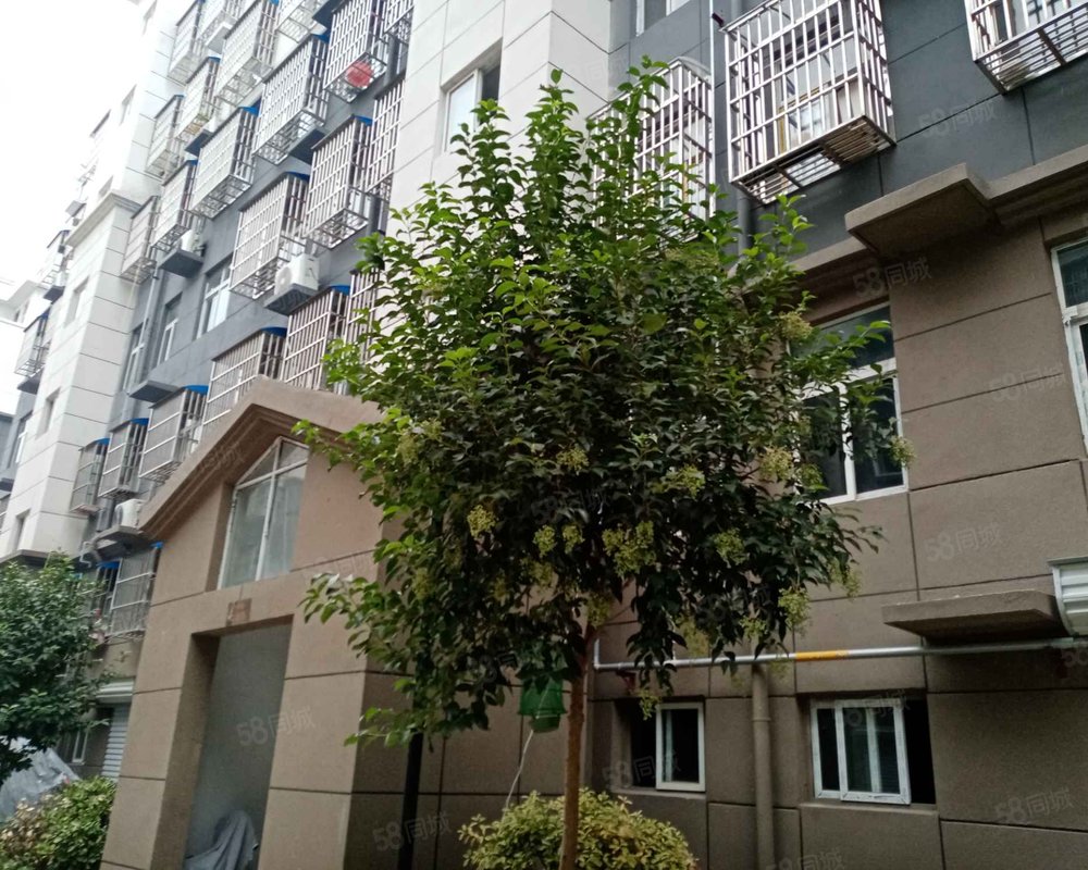 【碾庄未来城, 碾庄未来城小区详情,房价走势,房源,业主论坛】- 邳州