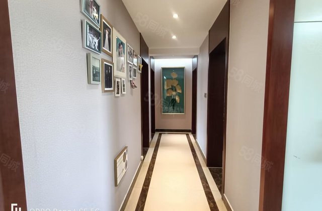 老东昌北200  一品家苑 送车位储藏室 电梯洋房 双阳台