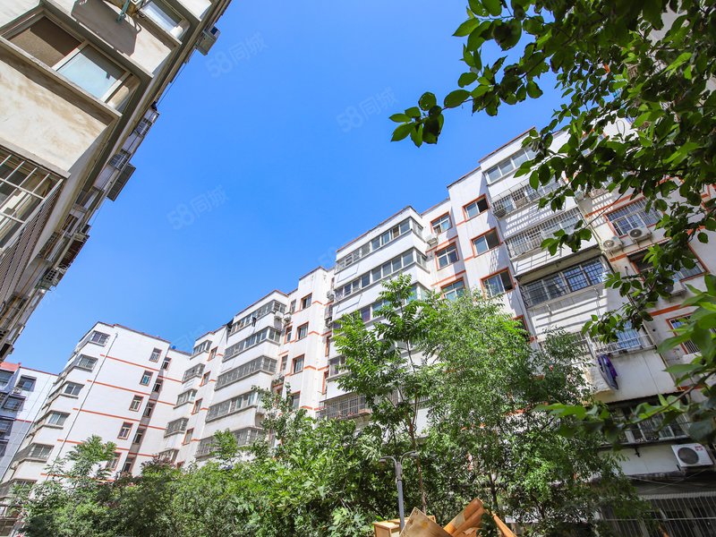 秒杀房 北大街 亚威金城 婚房装修三室 南北通透 随时看房