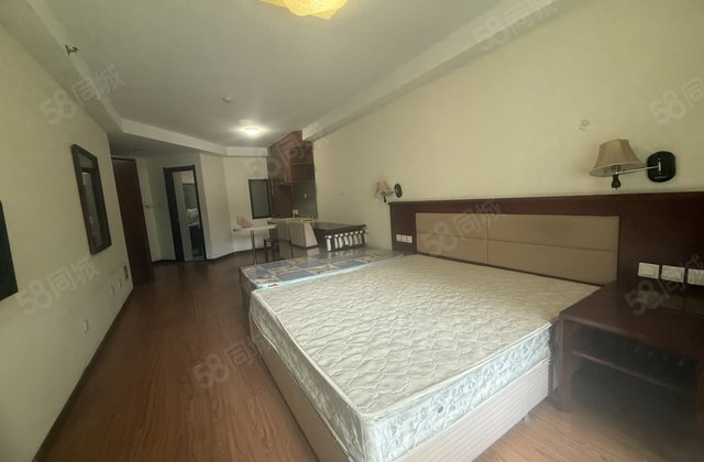 倚海45度度假公寓1室0厅44㎡12.8万二手房图片