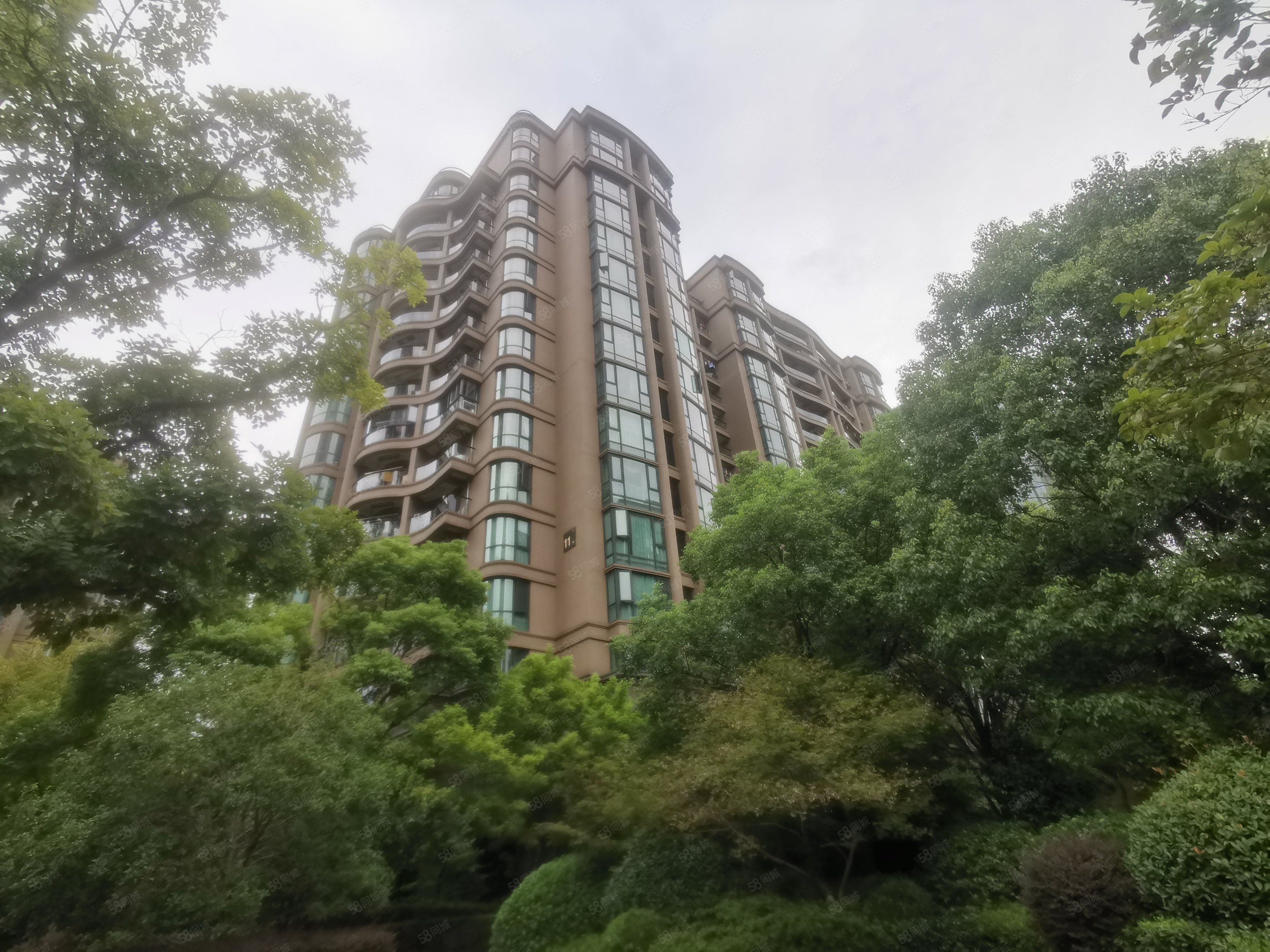 绿城玉兰公寓3室2厅1卫120.74㎡南北360万