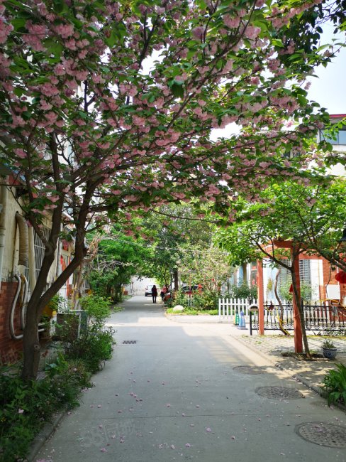 【10图】中亨花园5室4厅4卫258万234平方米,中亨花园-开封58同城