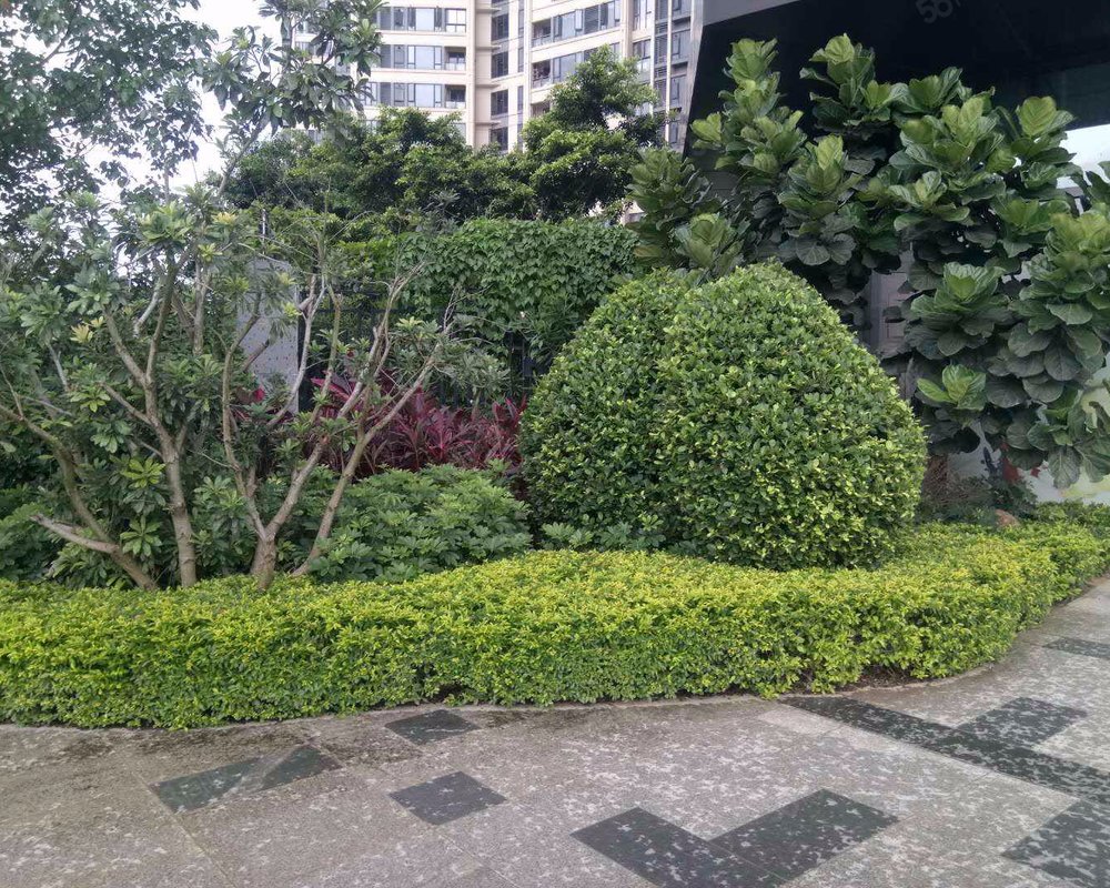 【保利碧桂园悦公馆, 保利碧桂园悦公馆小区详情,房价走势,房源,业主