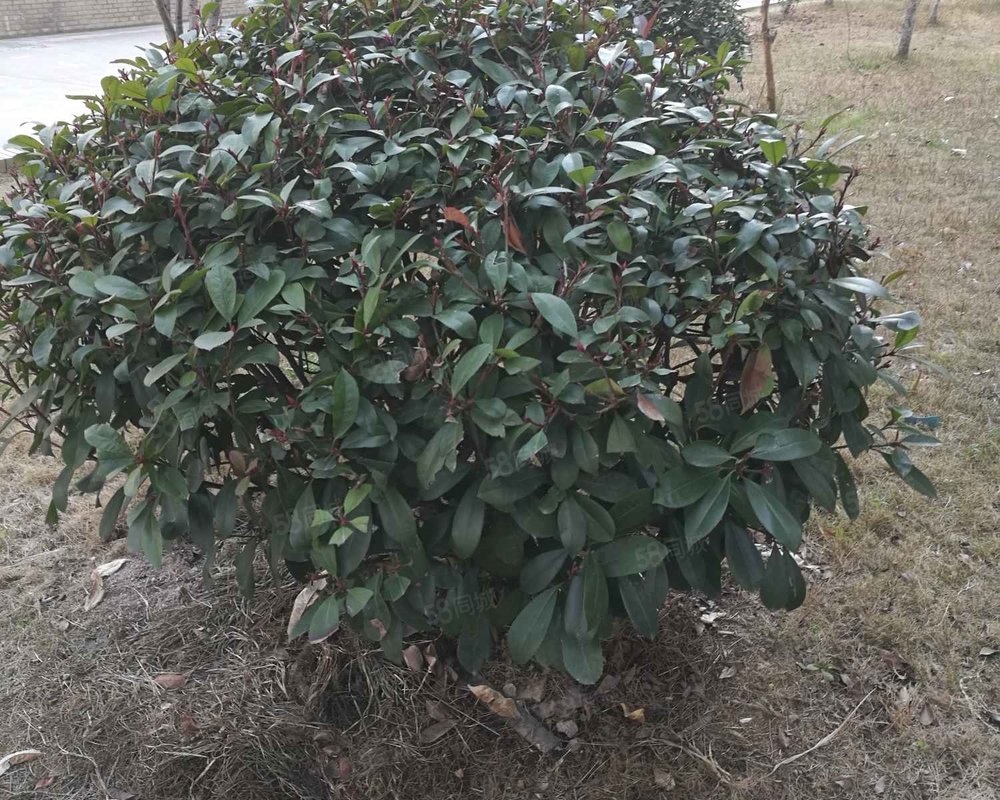 【紫欣苑, 紫欣苑小区详情,房价走势,房源,业主论坛】- 东阳58同城