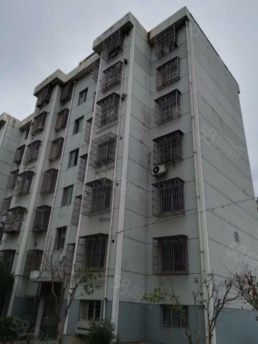 大榭海滨花园三室二厅一厨一卫装修诚心买可小刀