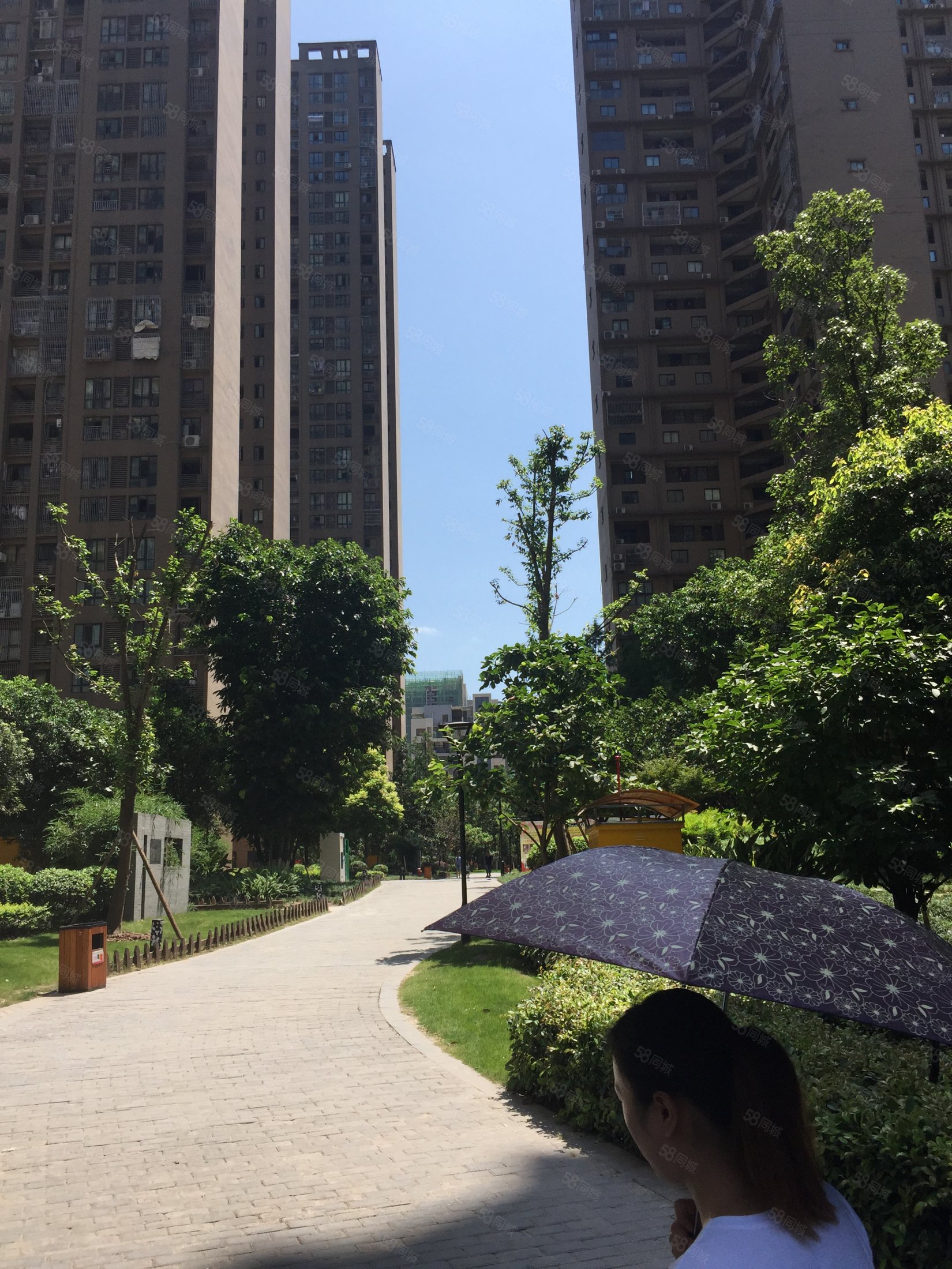 急售急售同景国际w组团精装三房端户四面采光拎包入住