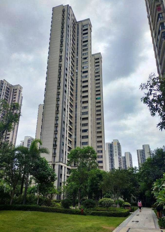 全湖景江景仅11500下楼即金湾高楼层视野开阔中海花园