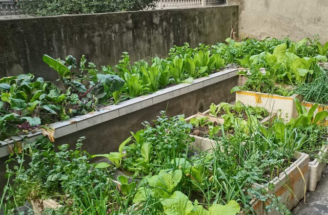 阳光清雅阁3室2厅140.25㎡56.8万二手房图片