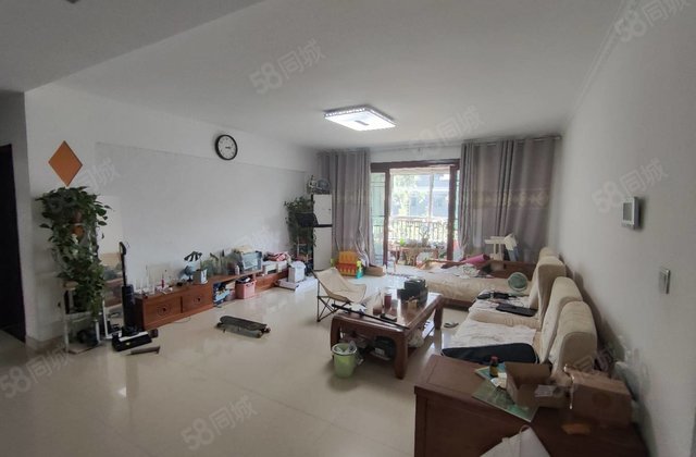 海德公园！电梯洋房三叶草户型 免大税送车储 房东急售可议价