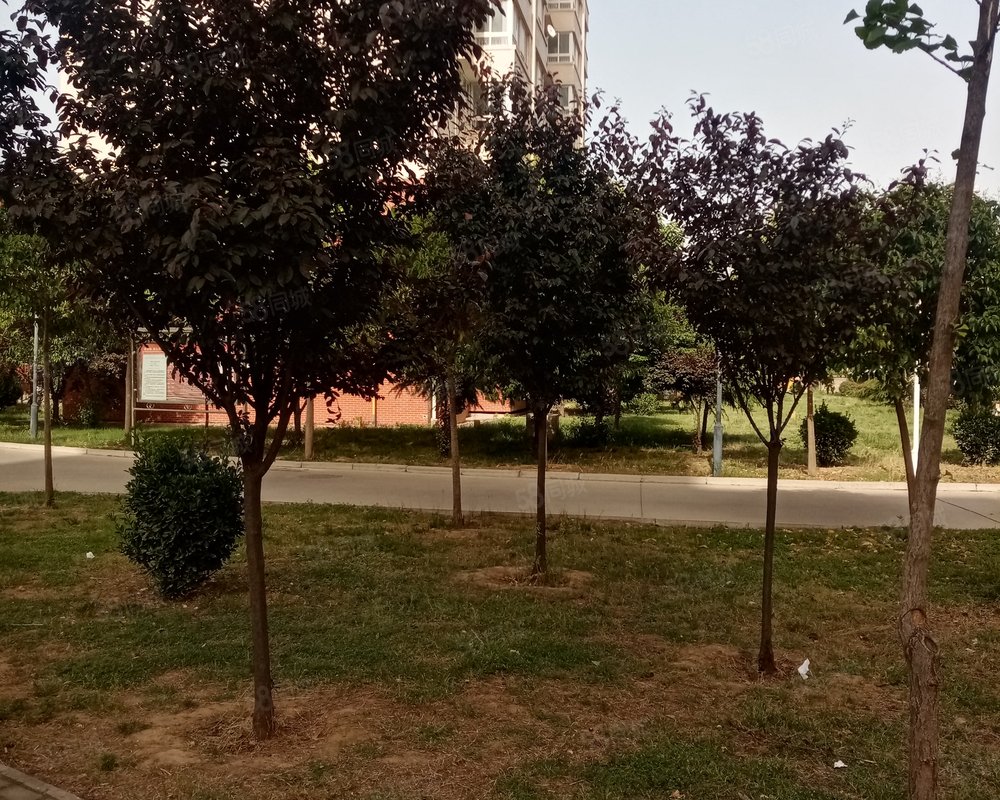 【东湖花园, 东湖花园小区详情,房价走势,房源,业主论坛】- 洛阳58