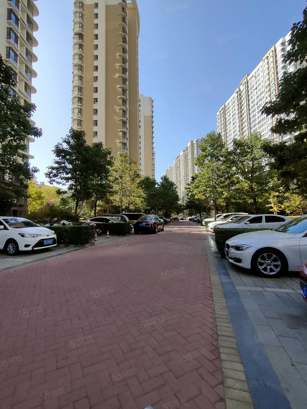 直降十万急售森林逸城前排180度一线海景两居送露台