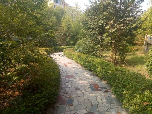 【紫荆花园房价走势,紫荆花园房屋出租,紫荆花园二手房出售】- 项城58