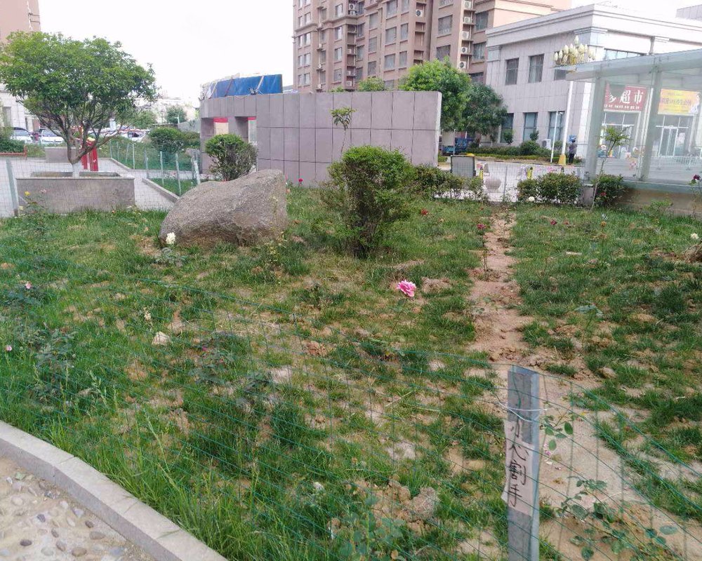 【东方佳园(平邑), 东方佳园(平邑)小区详情,房价走势,房源,业主论坛