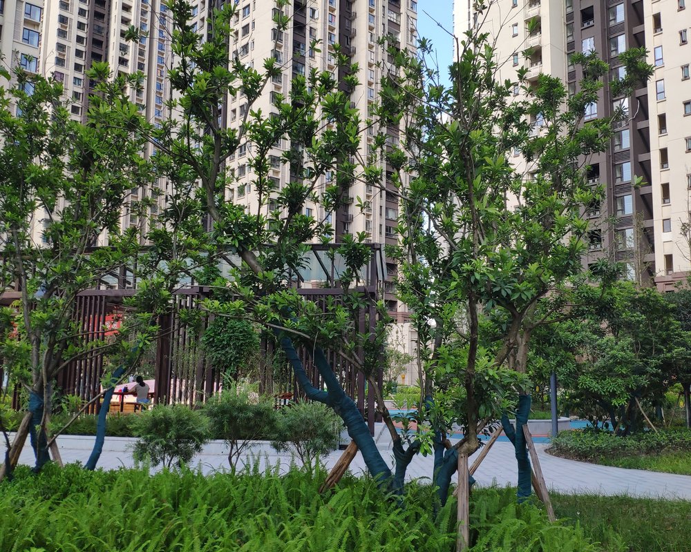 【华融现代城, 华融现代城小区详情,房价走势,房源,业主论坛】- 重庆