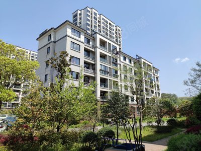 金竹新城