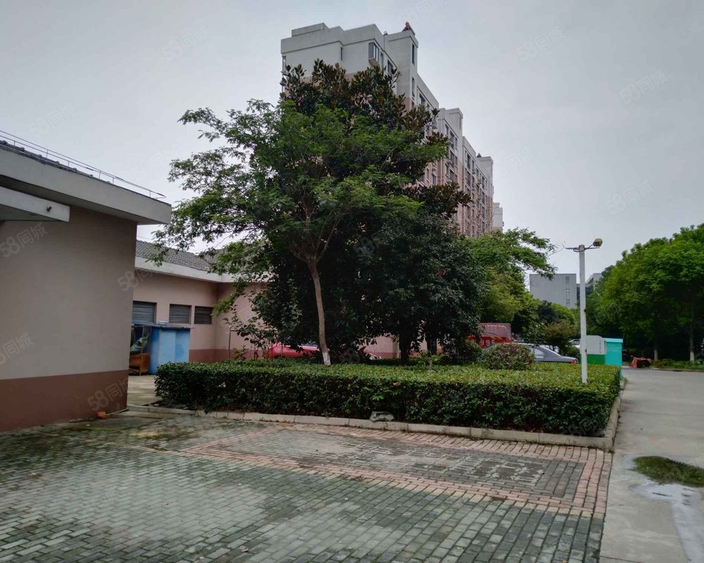 金阳大厦
