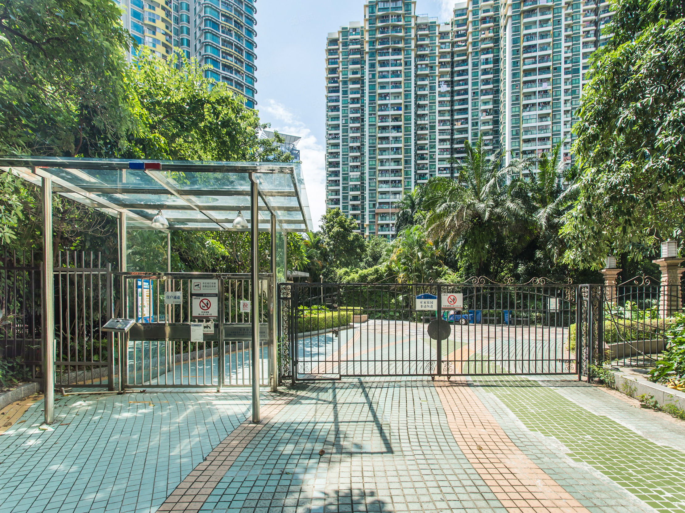 有蕉一日,掂个碌蔗!刚需上车盘,买皇御苑就对了,南向大两房!