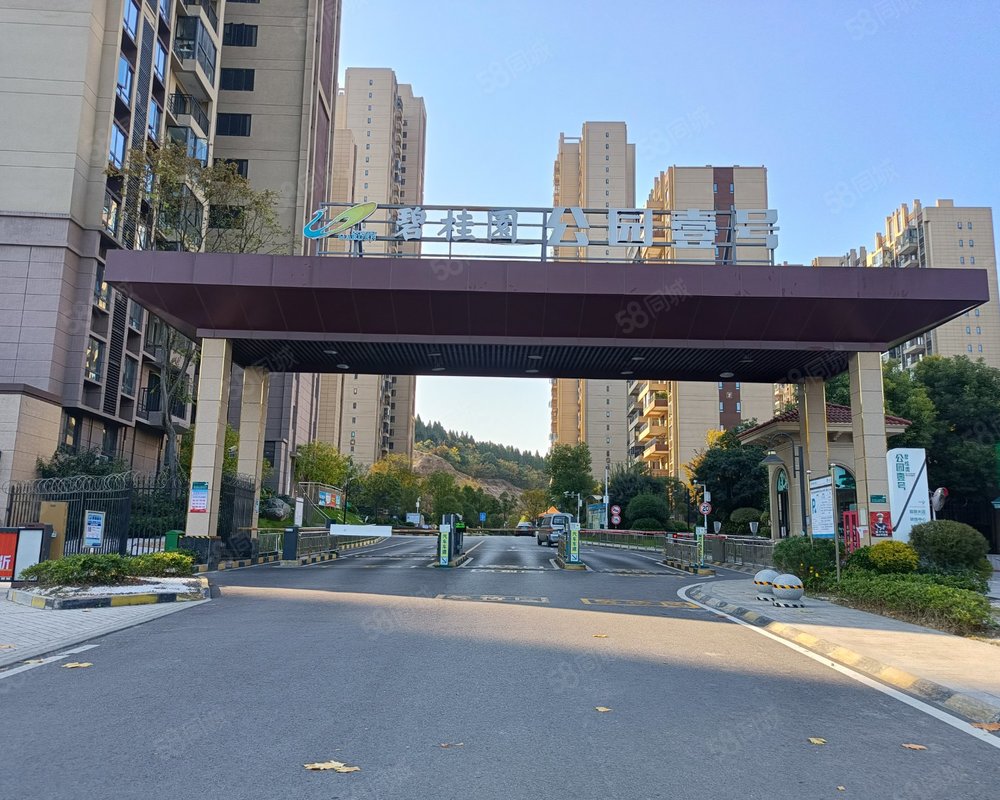 碧桂园公园壹号