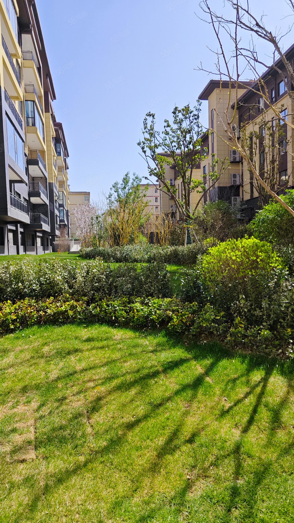 碧桂园秦都府二期3室2厅2卫124㎡南北115万