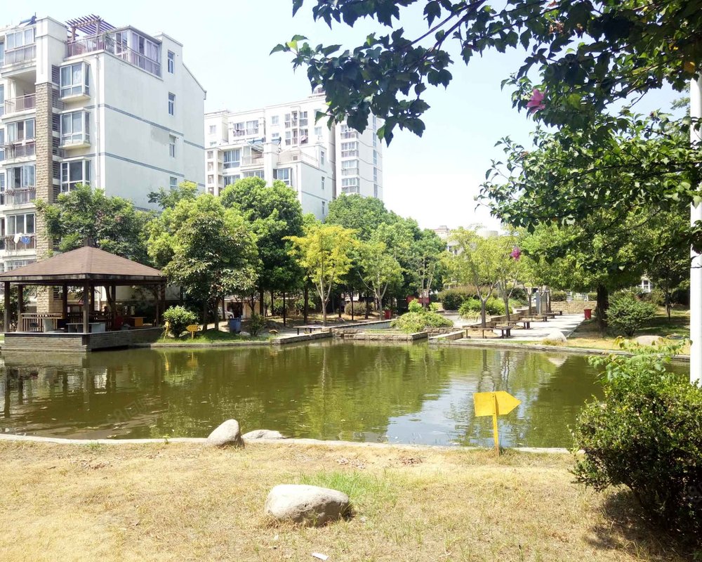 阳光地带
