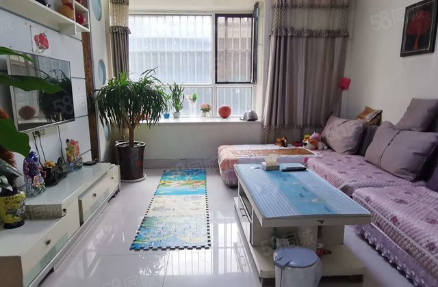 了!三天必卖 月亮湾a 阳光 实验 看房方便