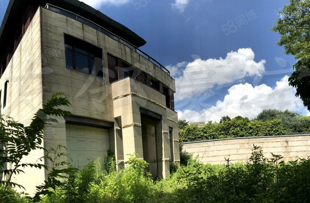 万科松山湖1号临湖别墅 临湖第壹排湖景别墅 带300平大花园