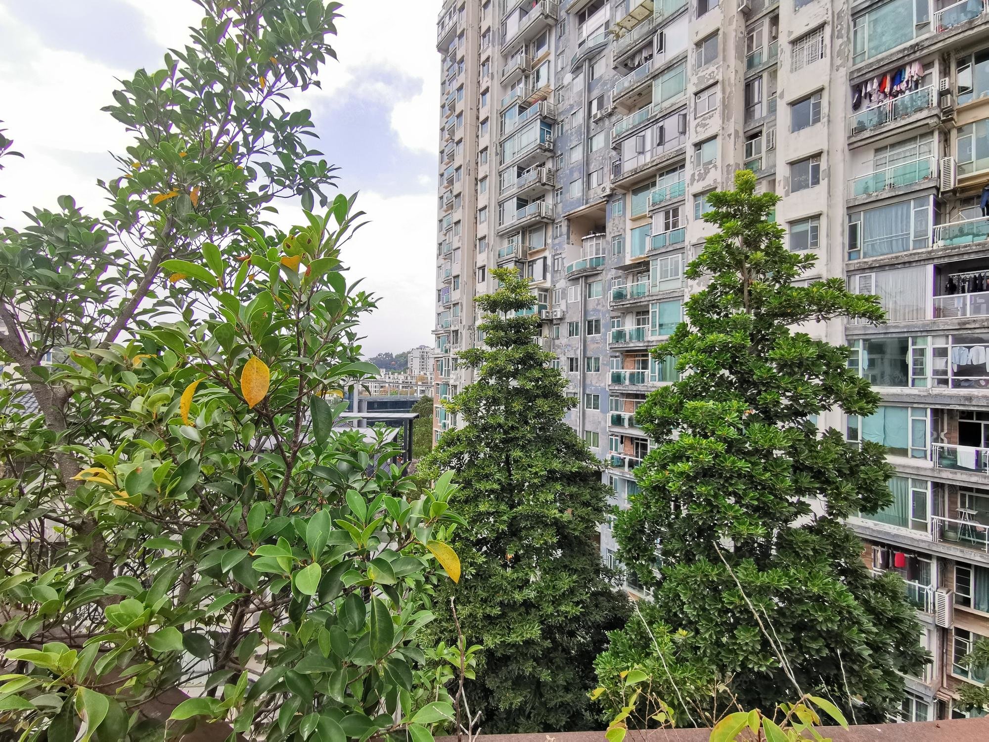 颐和山庄小高层大五房适合大家庭活动范围广