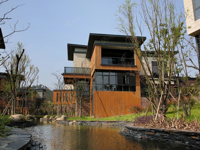 房东急售只卖一月灵峰山庄独栋年收20万有钥匙随时可看