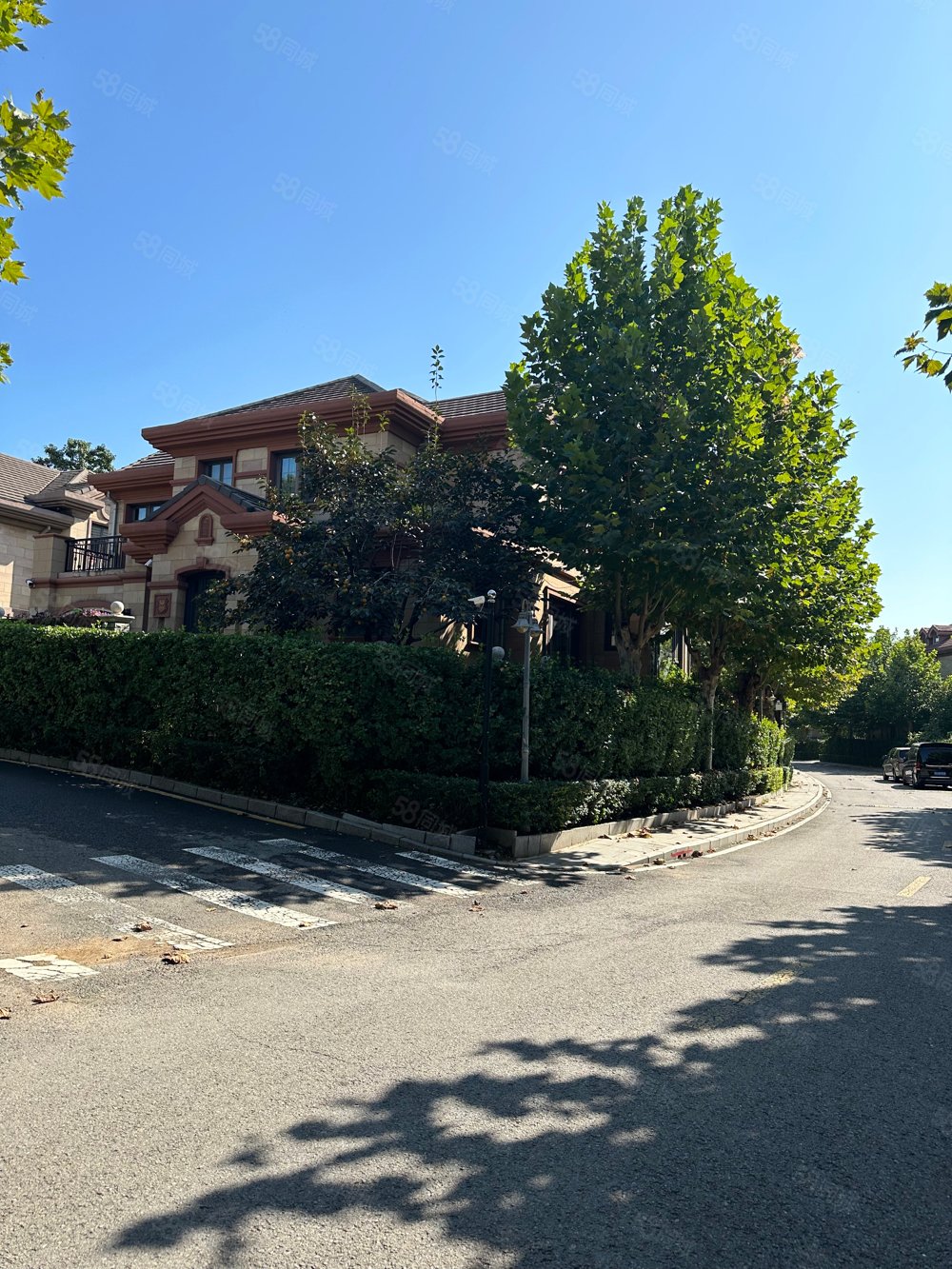 森林逸城别墅专卖年底急用钱抄底出售一跃二带双花园