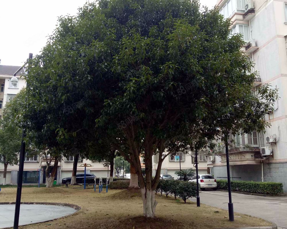 【阳明花园, 阳明花园小区详情,房价走势,房源,业主论坛】- 象山58