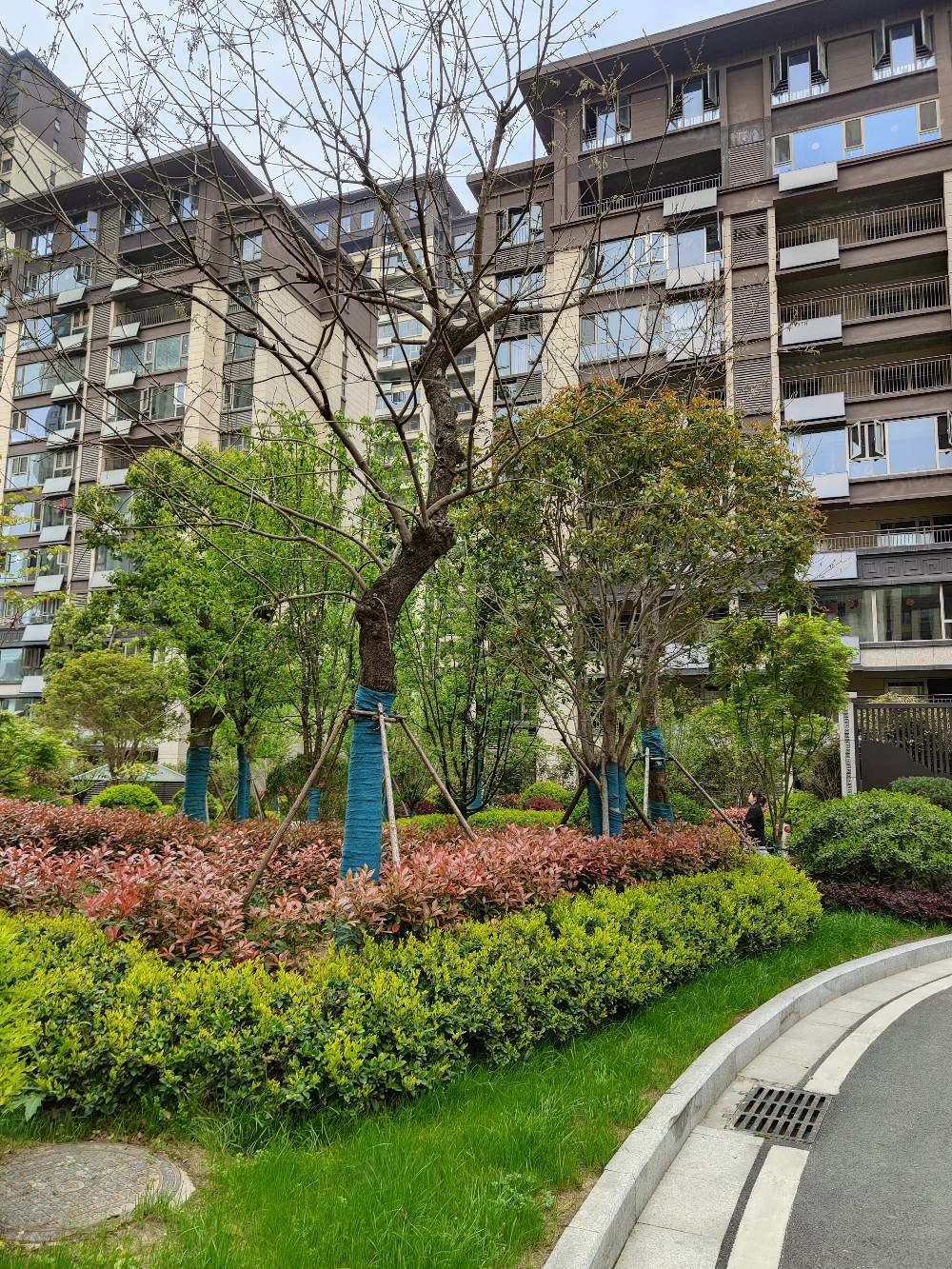 房主亏本甩卖万达广场六安环球港电梯洋房皋城小初双本部