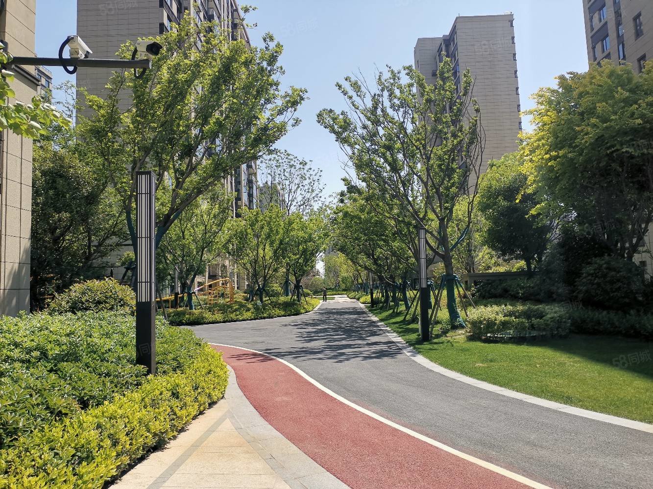 碧桂园天琴湾4室2厅2卫144.68㎡南北328万