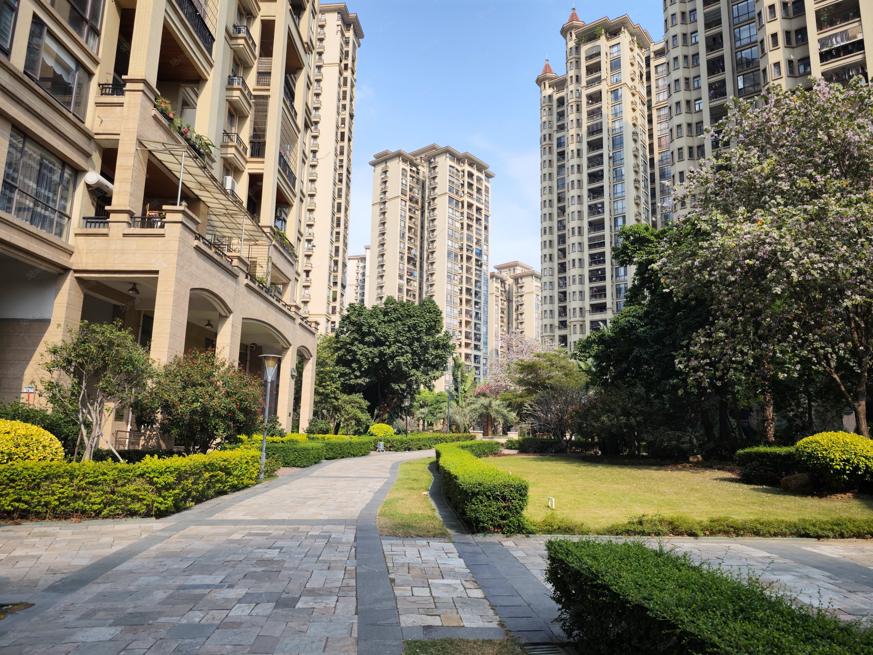 金海岸花园稀有靓盘楼层好看房方便