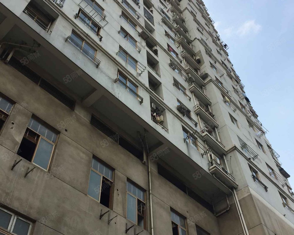 【仙都绿苑, 仙都绿苑小区详情,房价走势,房源,业主论坛】- 上海58