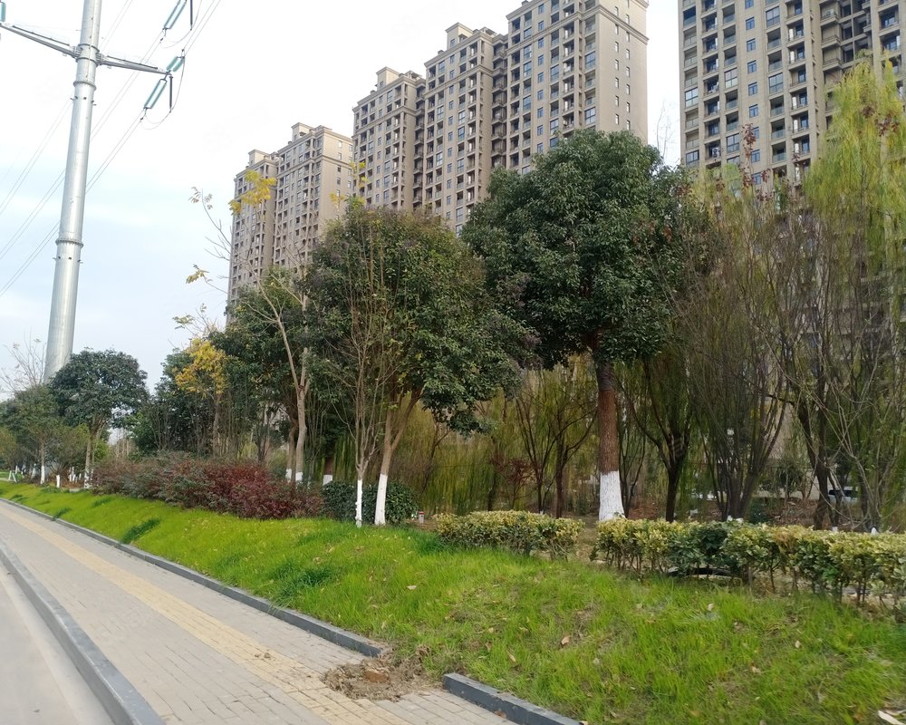 【梧桐花园, 梧桐花园小区详情,房价走势,房源,业主论坛】- 桐乡58